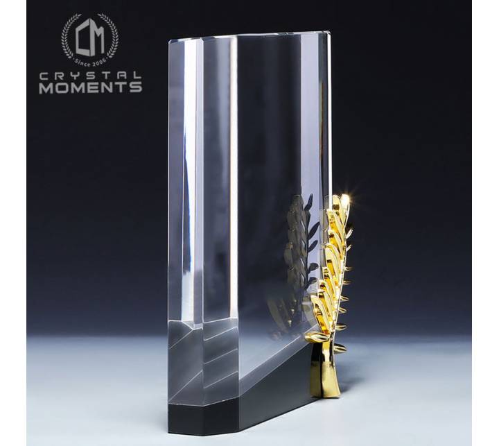 Classic Crystal Awards